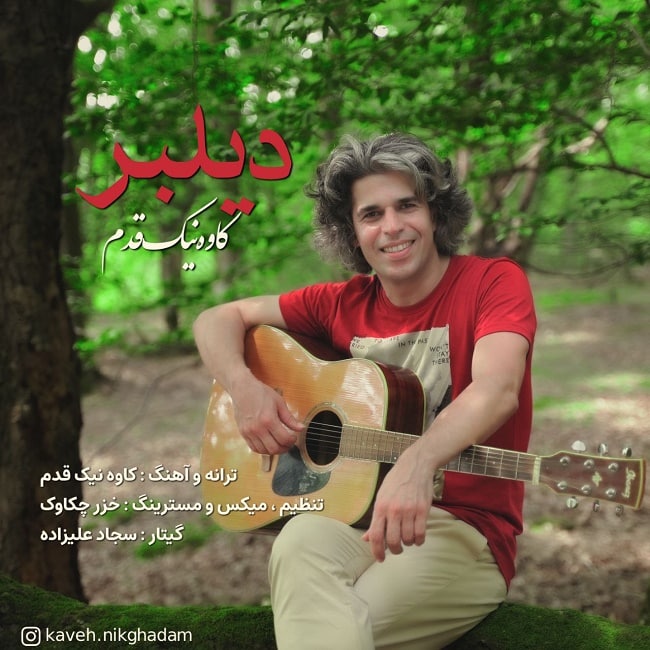 دانلود آهنگ دیلبر
